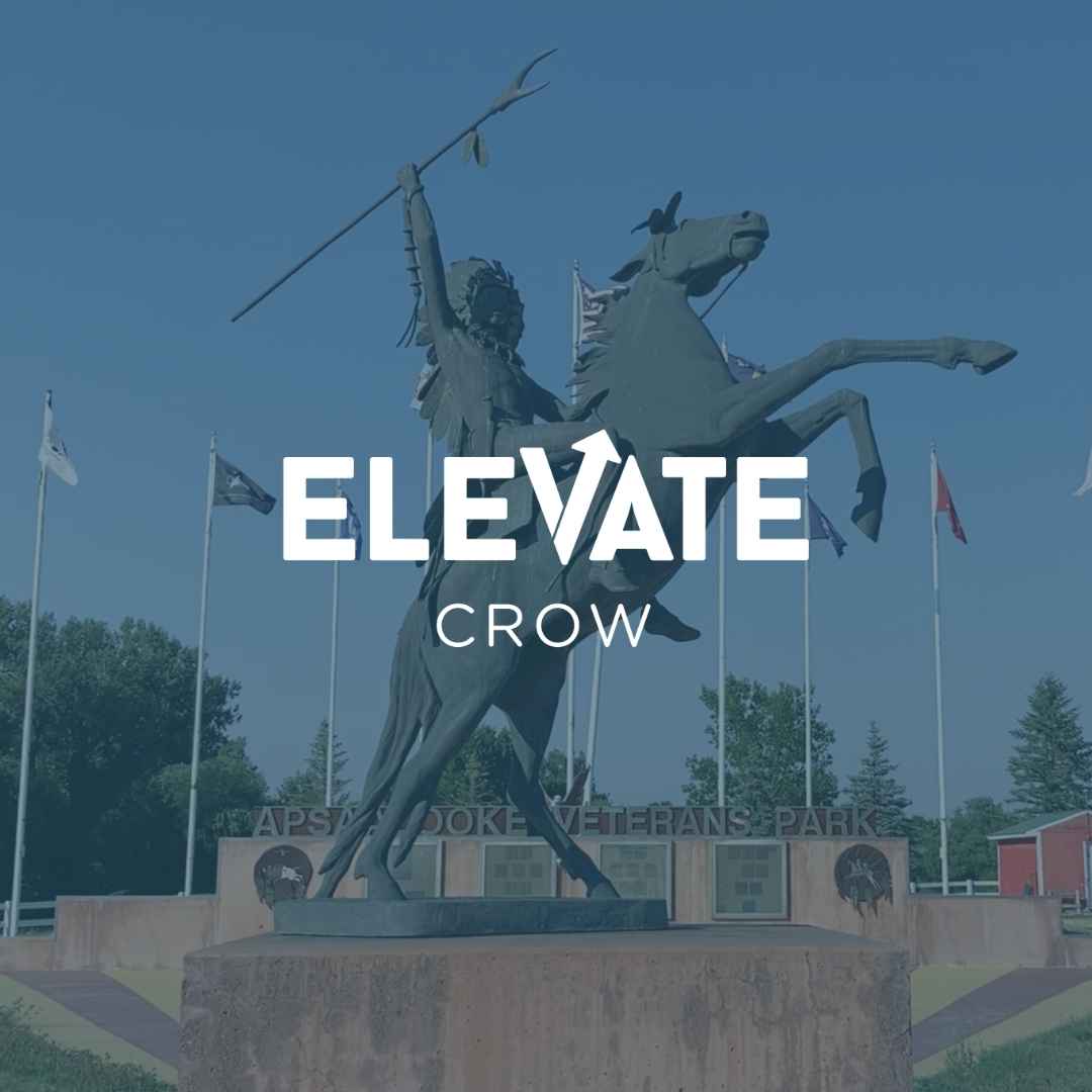 Elevate Crow